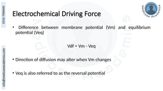 Electrochemical Driving Force
• Difference between membrane potential (Vm) and equilibrium
potential (Veq)
Vdf = Vm - Veq
• Direction of diffusion may alter when Vm changes
• Veq is also referred to as the reversal potential
 