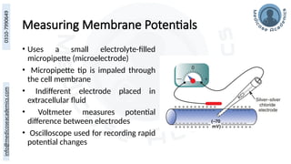 Measuring Membrane Potentials
• Uses a small electrolyte-filled
micropipette (microelectrode)
• Micropipette tip is impaled through
the cell membrane
• Indifferent electrode placed in
extracellular fluid
• Voltmeter measures potential
difference between electrodes
• Oscilloscope used for recording rapid
potential changes
 