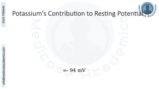 Potassium's Contribution to Resting Potential
=- 94 mV
 