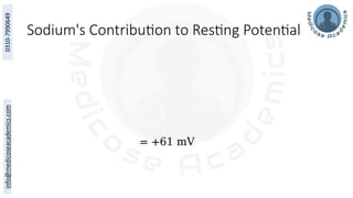 Sodium's Contribution to Resting Potential
= +61 mV
 