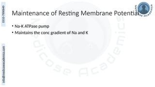 Maintenance of Resting Membrane Potential
• Na-K ATPase pump
• Maintains the conc gradient of Na and K
 