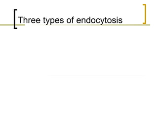 Three types of endocytosis In  phagocytosis,  a cell engulfs a particle by  Wrapping pseudopodia  around it and packaging  it within a membrane- enclosed sac large  enough to be classified  as a vacuole. The  particle is digested after  the vacuole fuses with a  lysosome containing  hydrolytic enzymes.  PHAGOCYTOSIS EXTRACELLULAR FLUID Pseudopodium CYTOPLASM “ Food” or  other particle Food vacuole 1 µm Pseudopodium of amoeba Bacterium Food vacuole An amoeba engulfing a bacterium via phagocytosis (TEM). PINOCYTOSIS Pinocytosis vesicles forming (arrows) in a cell lining a small blood vessel (TEM). 0.5 µm In  pinocytosis,  the cell  “ gulps” droplets of  extracellular fluid into tiny vesicles. It is not the fluid itself that is needed by the  cell, but the molecules  dissolved in the droplet.  Because any and all  included solutes are taken  into the cell, pinocytosis is nonspecific in the  substances it transports. Plasma membrane Vesicle 