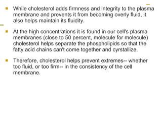 While cholesterol adds firmness and integrity to the plasma membrane and prevents it from becoming overly fluid, it also helps maintain its fluidity.  At the high concentrations it is found in our cell's plasma membranes (close to 50 percent, molecule for molecule) cholesterol helps separate the phospholipids so that the fatty acid chains can't come together and cyrstallize. Therefore, cholesterol helps prevent extremes-- whether too fluid, or too firm-- in the consistency of the cell membrane.  