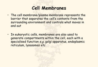 Cell Membranes ,[object Object],[object Object]