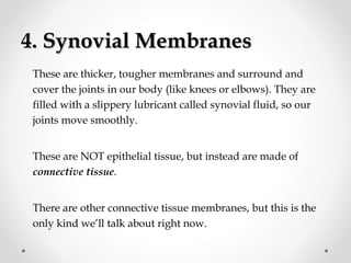 4. Synovial Membranes4. Synovial Membranes
These are thicker, tougher membranes and surround and
cover the joints in our body (like knees or elbows). They are
filled with a slippery lubricant called synovial fluid, so our
joints move smoothly.
These are NOT epithelial tissue, but instead are made of
connective tissue.
There are other connective tissue membranes, but this is the
only kind we’ll talk about right now.
 