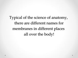 Typical of the science of anatomy,Typical of the science of anatomy,
there are different names forthere are different names for
membranes in different placesmembranes in different places
all over the body!all over the body!
 