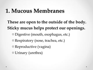 1. Mucous Membranes1. Mucous Membranes
These are open to the outside of the body.
Sticky mucus helps protect our openings.
o Digestive (mouth, esophagus, etc.)
o Respiratory (nose, trachea, etc.)
o Reproductive (vagina)
o Urinary (urethra)
 