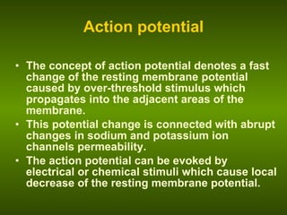 Action potential The concept of action potential denotes a fast change of the resting membrane potential caused by over-threshold stimulus which propagates into the adjacent areas of the membrane. This potential change is connected with abrupt changes in sodium and potassium ion channels permeability.  The action potential can be evoked by electrical or chemical stimuli which cause local decrease of the resting membrane potential. 