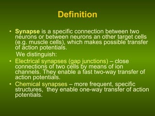 Definition Synapse  is a specific connection between two neurons or between neurons an other target cells (e.g. muscle cells), which makes possible transfer of action potentials. We distinguish: Electrical synapses (gap junctions)  – close connections of two cells by means of ion channels. They enable a fast two-way transfer of action potentials. Chemical synapses  – more frequent, specific structures,  they enable one-way transfer of action potentials. 