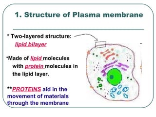 1. Structure of Plasma membrane

* Two-layered structure:
   lipid bilayer

*Made of lipid molecules
  with protein molecules in
  the lipid layer.

**PROTEINS aid in the
movement of materials
through the membrane
 
