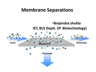 Membrane Separations
-Brajendra shukla
IET, BU( Deptt. Of Biotechnology)
 