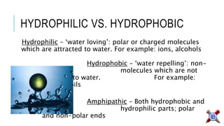 HYDROPHILIC VS. HYDROPHOBIC 
Hydrophilic–‘water loving’: polar or charged molecules which are attracted to water. For example:ions, alcohols 
Hydrophobic–‘water repelling’: non-polar molecules which are not attracted to water. For example: fats and oils 
Amphipathic–Both hydrophobic and hydrophilic parts; polar and non-polar ends  