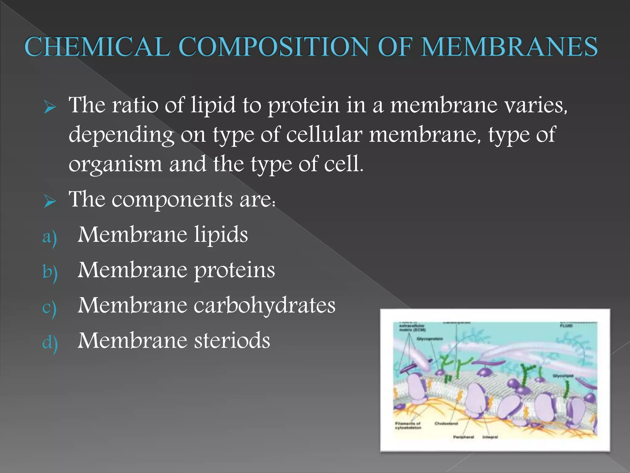  The ratio of lipid to protein in a membrane varies,
depending on type of cellular membrane, type of
organism and the type of cell.
 The components are:
a) Membrane lipids
b) Membrane proteins
c) Membrane carbohydrates
d) Membrane steriods
 
