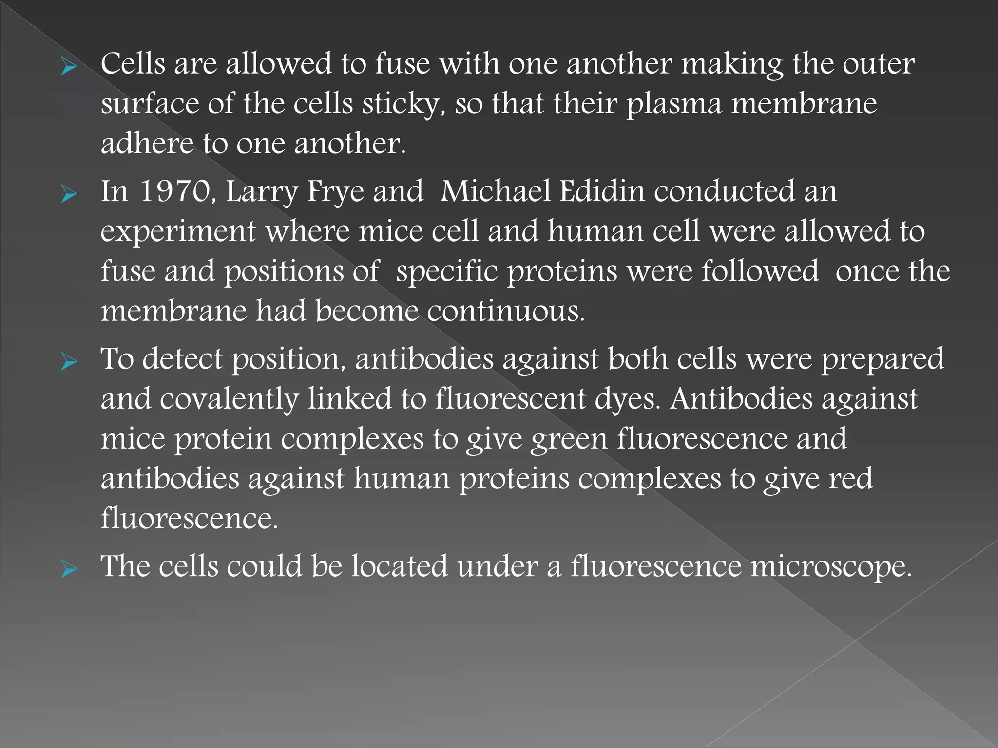  Cells are allowed to fuse with one another making the outer
surface of the cells sticky, so that their plasma membrane
adhere to one another.
 In 1970, Larry Frye and Michael Edidin conducted an
experiment where mice cell and human cell were allowed to
fuse and positions of specific proteins were followed once the
membrane had become continuous.
 To detect position, antibodies against both cells were prepared
and covalently linked to fluorescent dyes. Antibodies against
mice protein complexes to give green fluorescence and
antibodies against human proteins complexes to give red
fluorescence.
 The cells could be located under a fluorescence microscope.
 