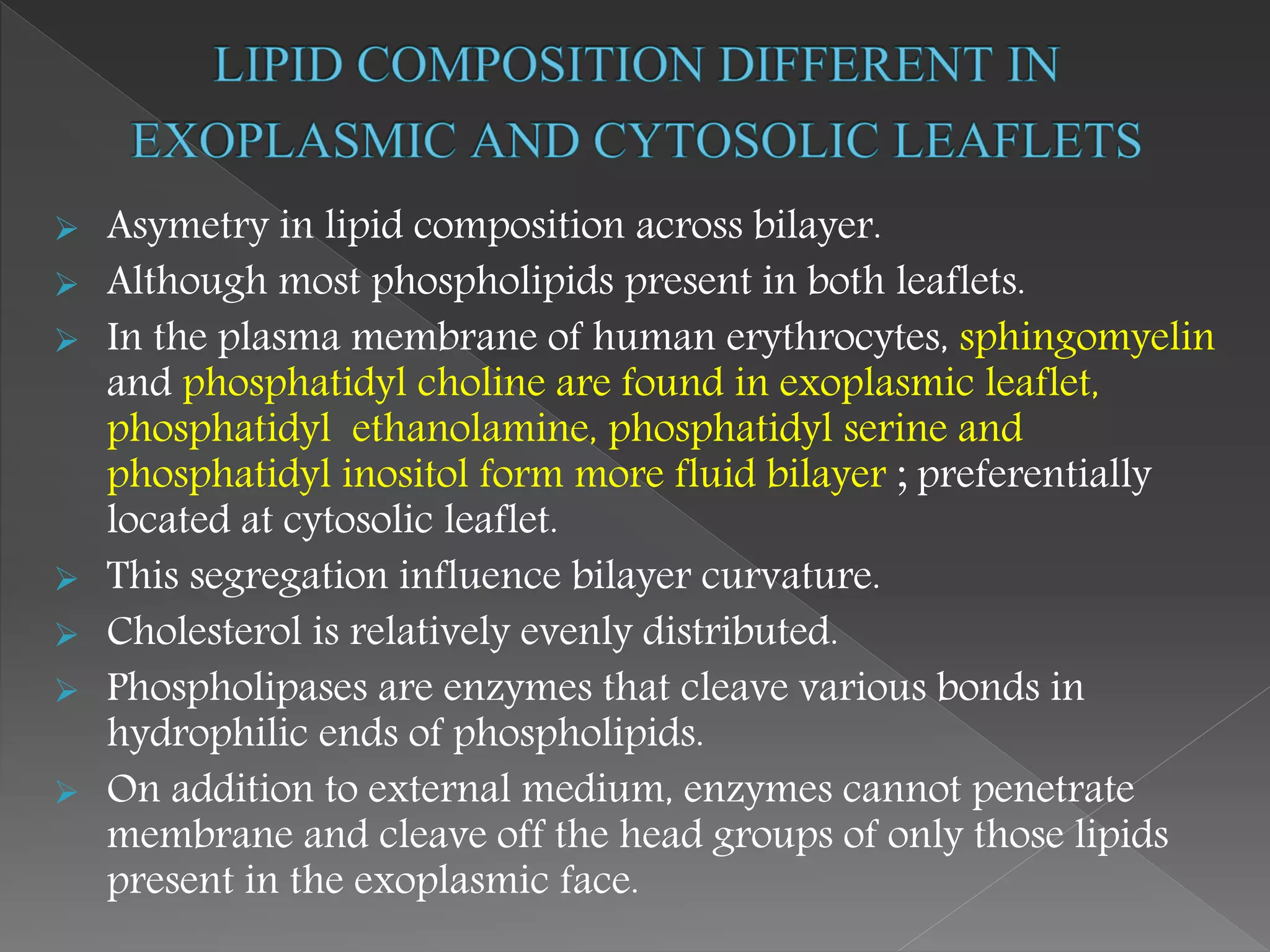  Asymetry in lipid composition across bilayer.
 Although most phospholipids present in both leaflets.
 In the plasma membrane of human erythrocytes, sphingomyelin
and phosphatidyl choline are found in exoplasmic leaflet,
phosphatidyl ethanolamine, phosphatidyl serine and
phosphatidyl inositol form more fluid bilayer ; preferentially
located at cytosolic leaflet.
 This segregation influence bilayer curvature.
 Cholesterol is relatively evenly distributed.
 Phospholipases are enzymes that cleave various bonds in
hydrophilic ends of phospholipids.
 On addition to external medium, enzymes cannot penetrate
membrane and cleave off the head groups of only those lipids
present in the exoplasmic face.
 