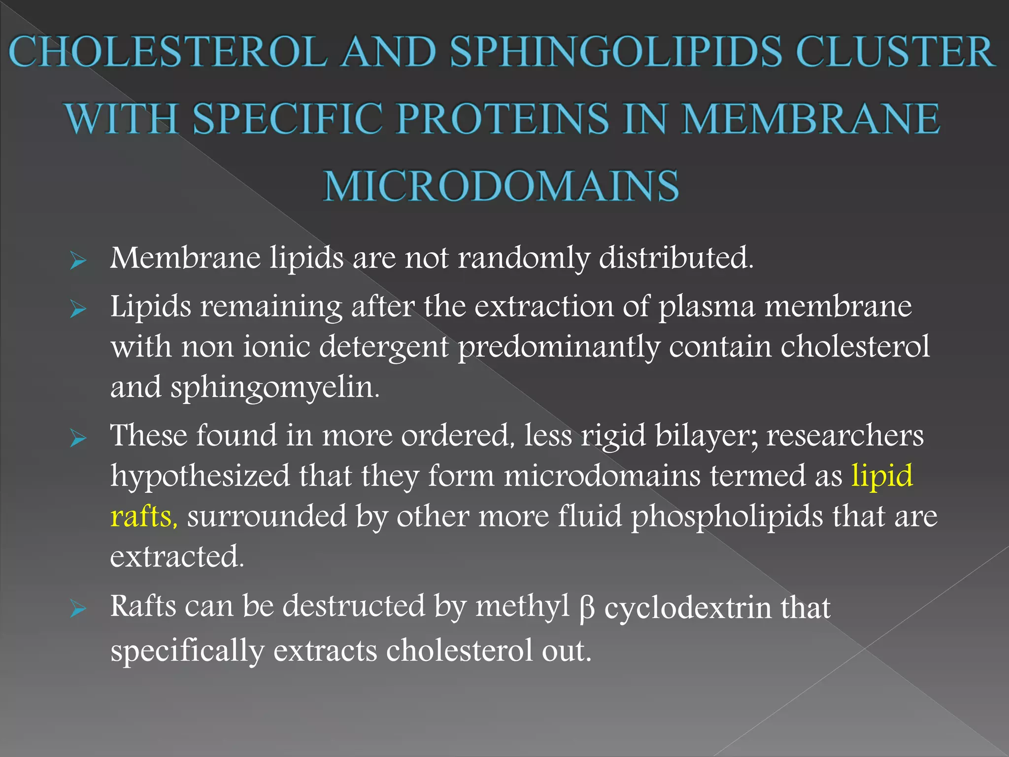  Membrane lipids are not randomly distributed.
 Lipids remaining after the extraction of plasma membrane
with non ionic detergent predominantly contain cholesterol
and sphingomyelin.
 These found in more ordered, less rigid bilayer; researchers
hypothesized that they form microdomains termed as lipid
rafts, surrounded by other more fluid phospholipids that are
extracted.
 Rafts can be destructed by methyl β cyclodextrin that
specifically extracts cholesterol out.
 
