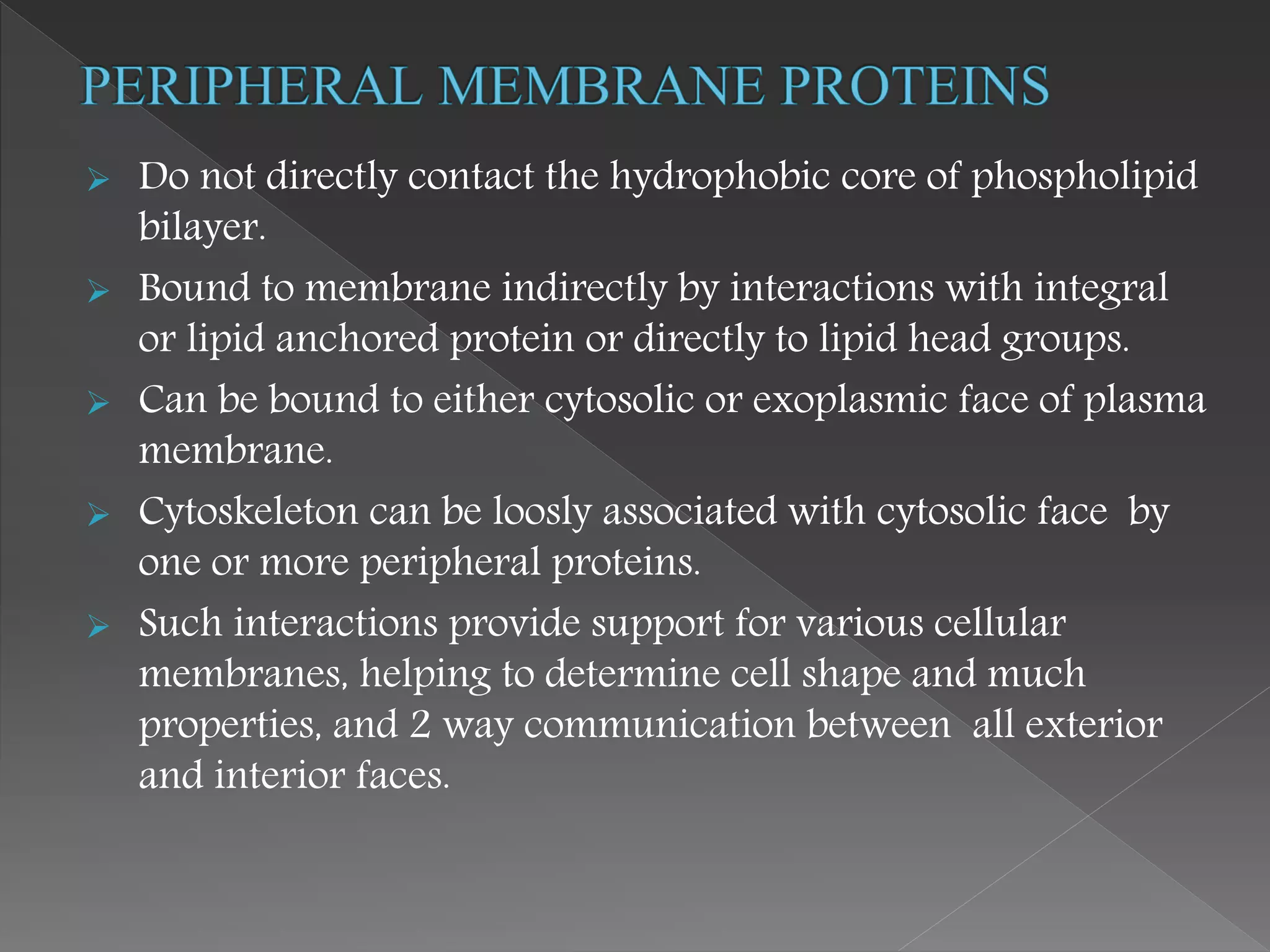  Do not directly contact the hydrophobic core of phospholipid
bilayer.
 Bound to membrane indirectly by interactions with integral
or lipid anchored protein or directly to lipid head groups.
 Can be bound to either cytosolic or exoplasmic face of plasma
membrane.
 Cytoskeleton can be loosly associated with cytosolic face by
one or more peripheral proteins.
 Such interactions provide support for various cellular
membranes, helping to determine cell shape and much
properties, and 2 way communication between all exterior
and interior faces.
 