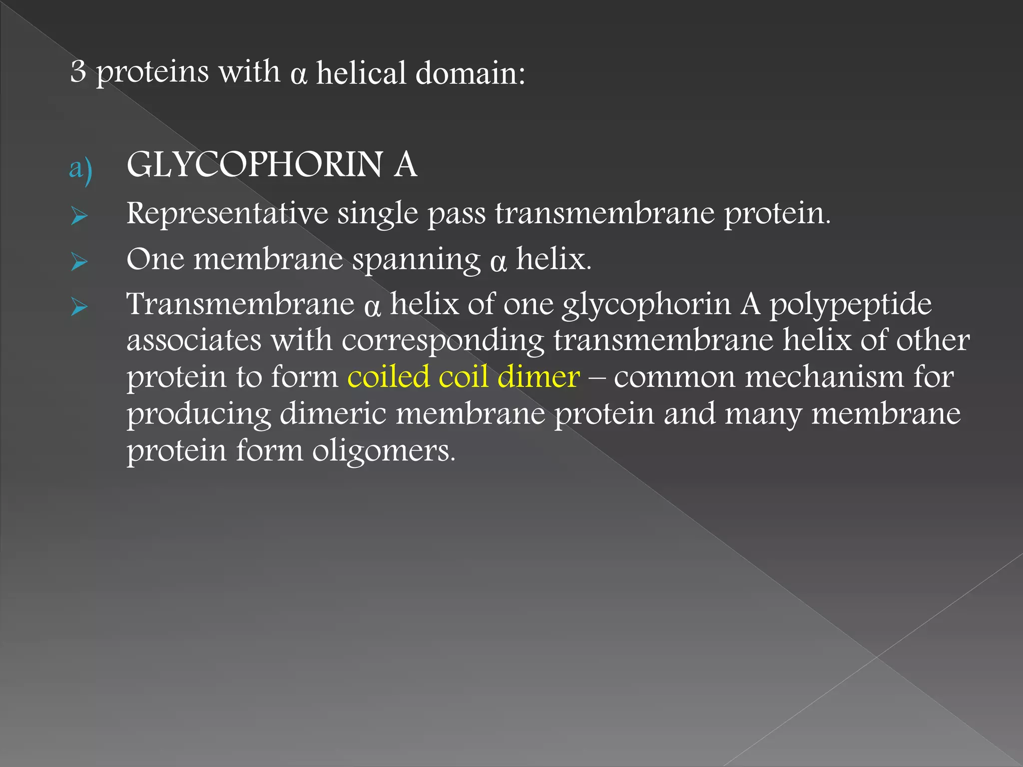 3 proteins with α helical domain:
a) GLYCOPHORIN A
 Representative single pass transmembrane protein.
 One membrane spanning α helix.
 Transmembrane α helix of one glycophorin A polypeptide
associates with corresponding transmembrane helix of other
protein to form coiled coil dimer – common mechanism for
producing dimeric membrane protein and many membrane
protein form oligomers.
 