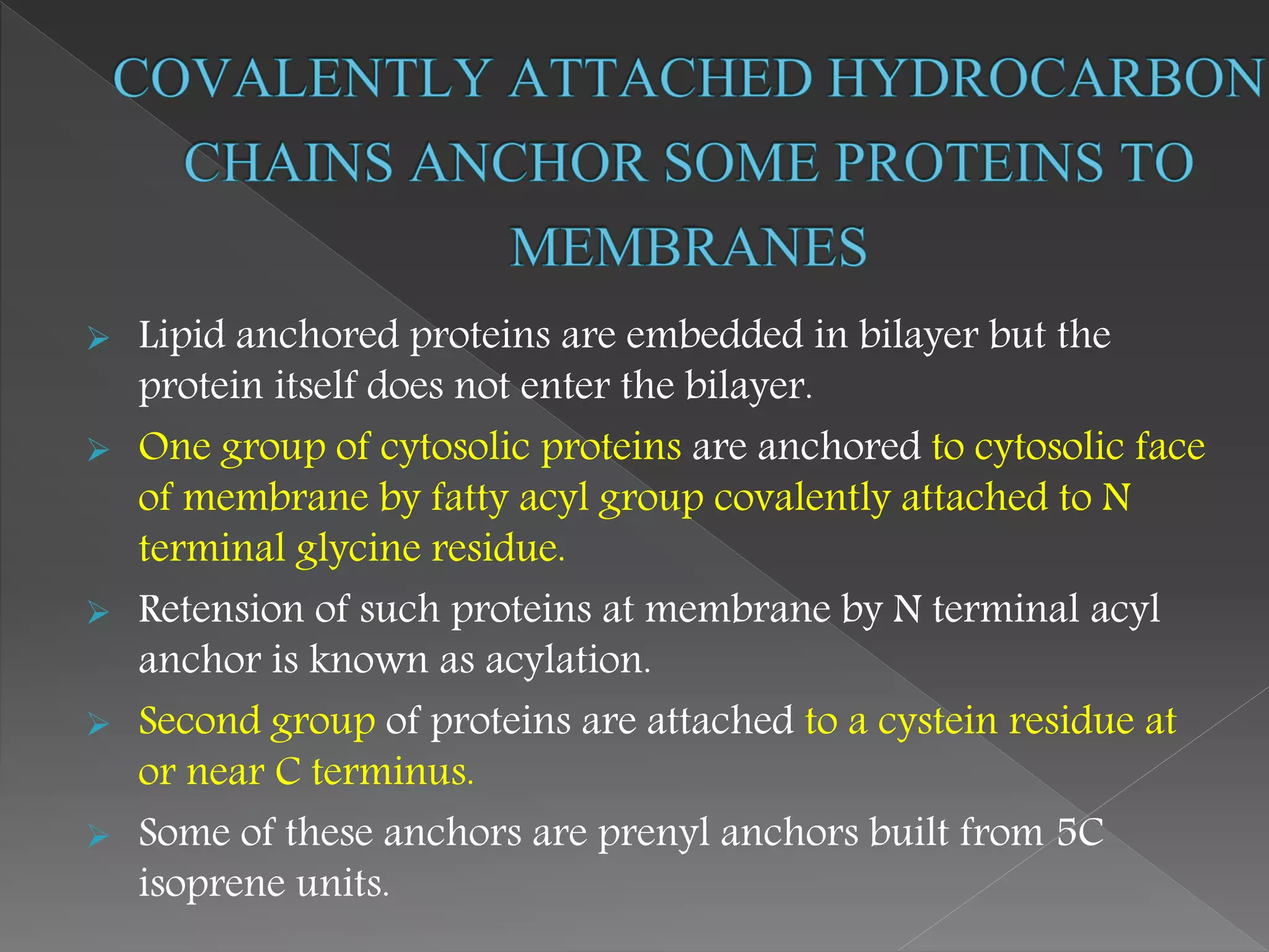  Lipid anchored proteins are embedded in bilayer but the
protein itself does not enter the bilayer.
 One group of cytosolic proteins are anchored to cytosolic face
of membrane by fatty acyl group covalently attached to N
terminal glycine residue.
 Retension of such proteins at membrane by N terminal acyl
anchor is known as acylation.
 Second group of proteins are attached to a cystein residue at
or near C terminus.
 Some of these anchors are prenyl anchors built from 5C
isoprene units.
 