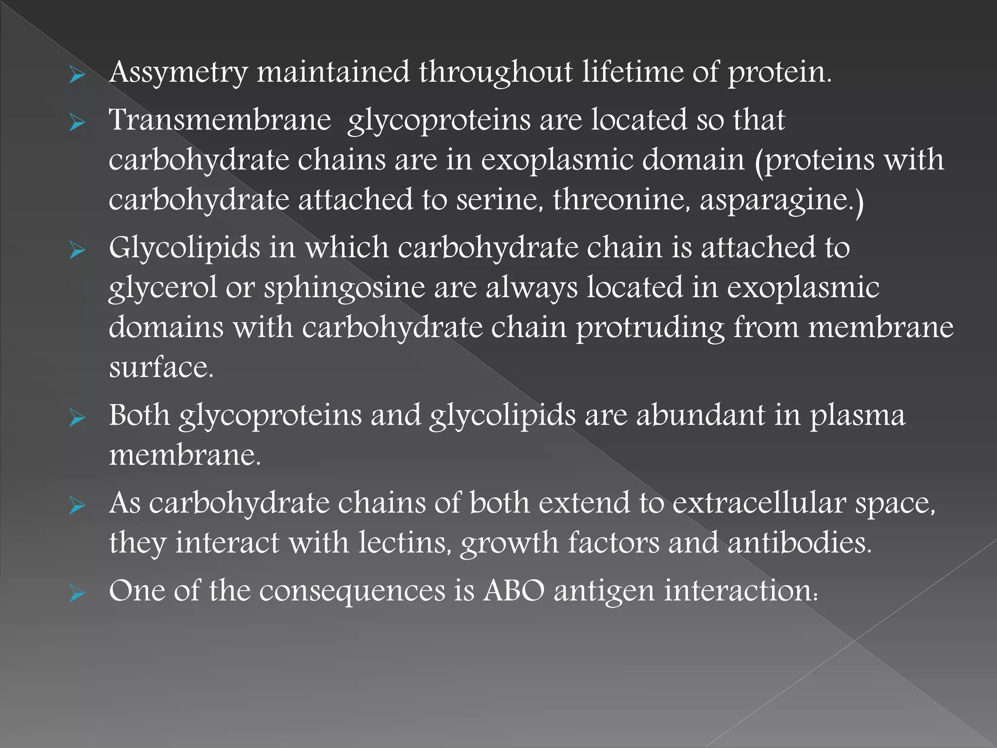  Assymetry maintained throughout lifetime of protein.
 Transmembrane glycoproteins are located so that
carbohydrate chains are in exoplasmic domain (proteins with
carbohydrate attached to serine, threonine, asparagine.)
 Glycolipids in which carbohydrate chain is attached to
glycerol or sphingosine are always located in exoplasmic
domains with carbohydrate chain protruding from membrane
surface.
 Both glycoproteins and glycolipids are abundant in plasma
membrane.
 As carbohydrate chains of both extend to extracellular space,
they interact with lectins, growth factors and antibodies.
 One of the consequences is ABO antigen interaction:
 