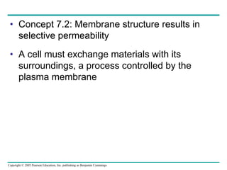 Copyright © 2005 Pearson Education, Inc. publishing as Benjamin Cummings
• Concept 7.2: Membrane structure results in
selective permeability
• A cell must exchange materials with its
surroundings, a process controlled by the
plasma membrane
 