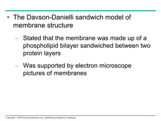 Copyright © 2005 Pearson Education, Inc. publishing as Benjamin Cummings
• The Davson-Danielli sandwich model of
membrane structure
– Stated that the membrane was made up of a
phospholipid bilayer sandwiched between two
protein layers
– Was supported by electron microscope
pictures of membranes
 