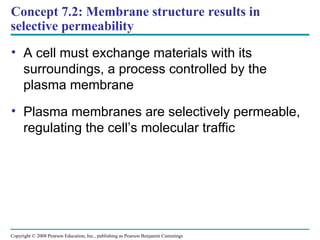 Membrane Structure and Function campbell | PPT