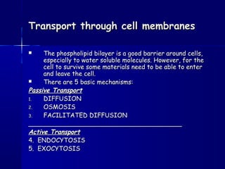 Transport through cell membranesTransport through cell membranes
 The phospholipid bilayer is a good barrier around cells,The phospholipid bilayer is a good barrier around cells,
especially to water soluble molecules. However, for theespecially to water soluble molecules. However, for the
cell to survive some materials need to be able to entercell to survive some materials need to be able to enter
and leave the cell.and leave the cell.
 There are 5 basic mechanisms:There are 5 basic mechanisms:
Passive TransportPassive Transport
1.1. DIFFUSIONDIFFUSION
2.2. OSMOSISOSMOSIS
3.3. FACILITATED DIFFUSIONFACILITATED DIFFUSION
______________________________________________________________________________
Active TransportActive Transport
4. ENDOCYTOSIS4. ENDOCYTOSIS
5. EXOCYTOSIS5. EXOCYTOSIS
 