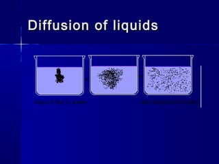 Diffusion of liquidsDiffusion of liquids
 