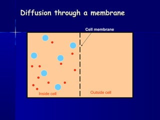 Diffusion through a membraneDiffusion through a membrane
Cell membrane
Inside cell Outside cell
 