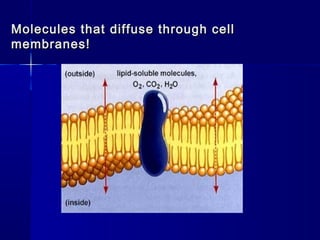 Molecules that diffuse through cellMolecules that diffuse through cell
membranes!membranes!
 
