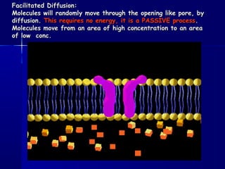 Facilitated Diffusion:Facilitated Diffusion:
Molecules will randomly move through the opening like pore, byMolecules will randomly move through the opening like pore, by
diffusion.diffusion. This requires no energy, it is a PASSIVE processThis requires no energy, it is a PASSIVE process..
Molecules move from an area of high concentration to an areaMolecules move from an area of high concentration to an area
of low conc.of low conc.
 