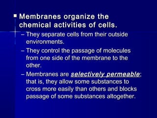  Membranes organize theMembranes organize the
chemical activities of cells.chemical activities of cells.
– They separate cells from their outsideThey separate cells from their outside
environments.environments.
– They control the passage of moleculesThey control the passage of molecules
from one side of the membrane to thefrom one side of the membrane to the
other.other.
– Membranes areMembranes are selectively permeableselectively permeable ;;
that is, they allow some substances tothat is, they allow some substances to
cross more easily than others and blockscross more easily than others and blocks
passage of some substances altogether.passage of some substances altogether.
 