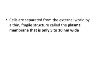 • Cells are separated from the external world by
a thin, fragile structure called the plasma
membrane that is only 5 to 10 nm wide
 