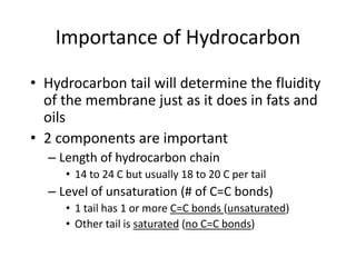 Importance of Hydrocarbon
• Hydrocarbon tail will determine the fluidity
of the membrane just as it does in fats and
oils
• 2 components are important
– Length of hydrocarbon chain
• 14 to 24 C but usually 18 to 20 C per tail
– Level of unsaturation (# of C=C bonds)
• 1 tail has 1 or more C=C bonds (unsaturated)
• Other tail is saturated (no C=C bonds)
 