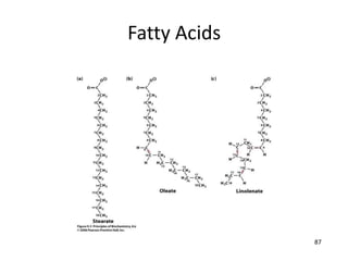 87
Fatty Acids
 