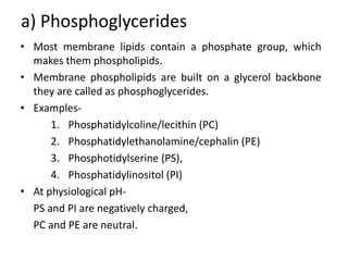 a) Phosphoglycerides
• Most membrane lipids contain a phosphate group, which
makes them phospholipids.
• Membrane phospholipids are built on a glycerol backbone
they are called as phosphoglycerides.
• Examples-
1. Phosphatidylcoline/lecithin (PC)
2. Phosphatidylethanolamine/cephalin (PE)
3. Phosphotidylserine (PS),
4. Phosphatidylinositol (PI)
• At physiological pH-
PS and PI are negatively charged,
PC and PE are neutral.
 