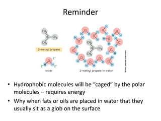 Reminder
• Hydrophobic molecules will be “caged” by the polar
molecules – requires energy
• Why when fats or oils are placed in water that they
usually sit as a glob on the surface
 