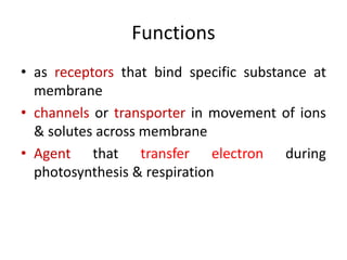 Functions
• as receptors that bind specific substance at
membrane
• channels or transporter in movement of ions
& solutes across membrane
• Agent that transfer electron during
photosynthesis & respiration
 