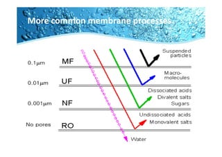 Membrane technology | PDF
