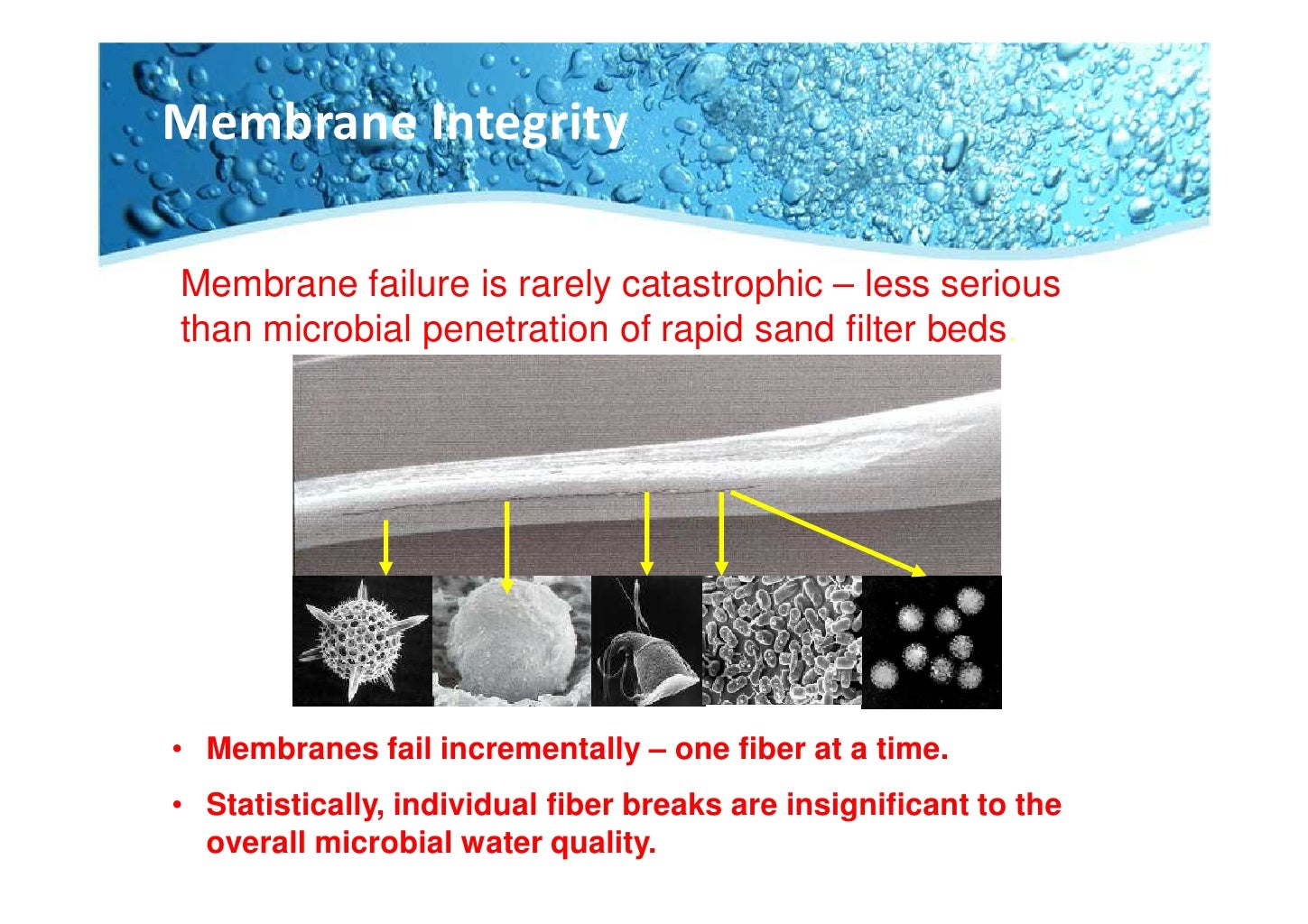Membrane technology