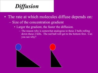 Membrane transport | PPT