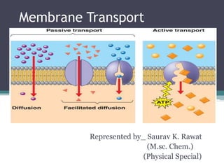 Membrane Transport 
Represented by_ Saurav K. Rawat 
(M.sc. Chem.) 
(Physical Special) 
 
