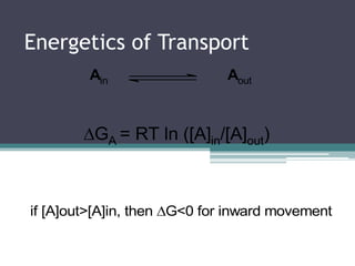 Energetics of Transport 
Ain Aout 
GA = RT ln ([A]in/[A]out) 
if [A]out>[A]in, then G<0 for inward movement 
 