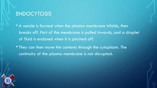 ENDOCYTOSIS 
•A vesicle is formed when the plasma membrane infolds, then breaks off. Part of the membrane is pulled inwards, and a droplet of fluid is enclosed when it is pinched off. 
•They can then move the contents through the cytoplasm. The continuity of the plasma membrane is not disrupted.  