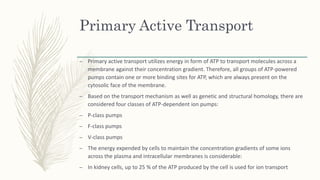 Primary Active Transport
– Primary active transport utilizes energy in form of ATP to transport molecules across a
membrane against their concentration gradient. Therefore, all groups of ATP-powered
pumps contain one or more binding sites for ATP, which are always present on the
cytosolic face of the membrane.
– Based on the transport mechanism as well as genetic and structural homology, there are
considered four classes of ATP-dependent ion pumps:
– P-class pumps
– F-class pumps
– V-class pumps
– The energy expended by cells to maintain the concentration gradients of some ions
across the plasma and intracellular membranes is considerable:
– In kidney cells, up to 25 % of the ATP produced by the cell is used for ion transport
 