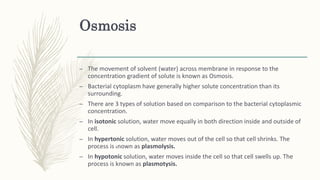 Osmosis
– The movement of solvent (water) across membrane in response to the
concentration gradient of solute is known as Osmosis.
– Bacterial cytoplasm have generally higher solute concentration than its
surrounding.
– There are 3 types of solution based on comparison to the bacterial cytoplasmic
concentration.
– In isotonic solution, water move equally in both direction inside and outside of
cell.
– In hypertonic solution, water moves out of the cell so that cell shrinks. The
process is known as plasmolysis.
– In hypotonic solution, water moves inside the cell so that cell swells up. The
process is known as plasmotysis.
 