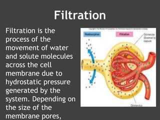 Passive Transport Filtration