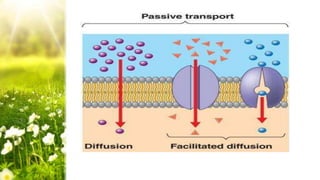 Membrane transport