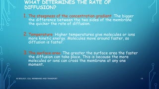 WHAT DETERMINES THE RATE OF
DIFFUSION?
1. The steepness of the concentration gradient. The bigger
the difference between the two sides of the membrane
the quicker the rate of diffusion.
2.Temperature. Higher temperatures give molecules or ions
more kinetic energy. Molecules move around faster, so
diffusion is faster.
3.The surface area. The greater the surface area the faster
the diffusion can take place. This is because the more
molecules or ions can cross the membrane at any one
moment.
AS BIOLOGY, CELL MEMBRANES AND TRANSPORT 10
 